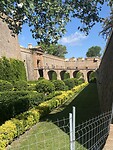 IMG_4106