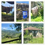 IMG_4497