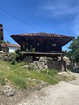 IMG_4481