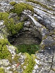 IMG_4498