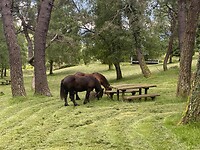 IMG_4581