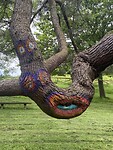 IMG_4578