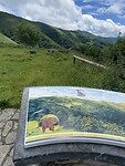IMG_4587