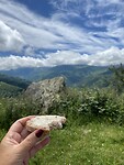 IMG_4593