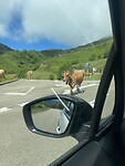 IMG_4573