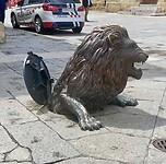 IMG_4563