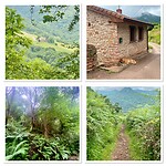 IMG_4842