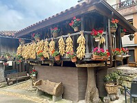 IMG_4789