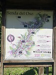 IMG_4873