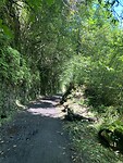 IMG_4875