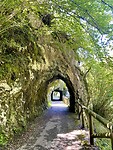 IMG_4878