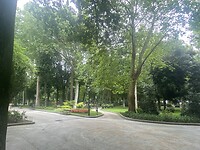 IMG_4904