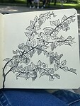 IMG_4906