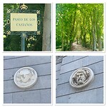 IMG_5104