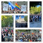 IMG_5101
