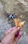IMG_5100