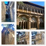 IMG_5385
