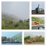 IMG_5381