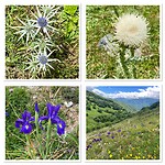 IMG_5380