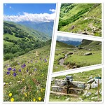 IMG_5379