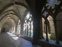 IMG_5354