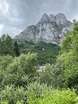 IMG_5228
