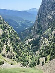 IMG_5528