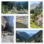 IMG_5596