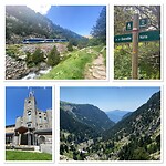 IMG_5595