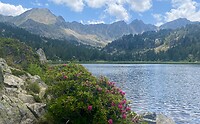 IMG_5416