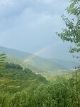 IMG_5564