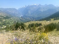 IMG_5817