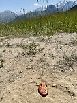 IMG_5826