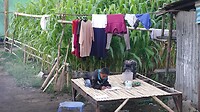 DSC06758