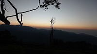 DSC06772