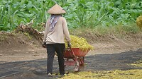 DSC01958