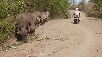 DSC02049