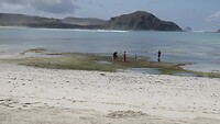 DSC02051