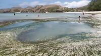 DSC02081