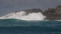 DSC02101