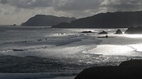 DSC02327
