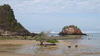 DSC02441