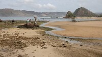 DSC02448