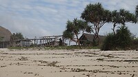DSC02485