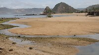 DSC02506
