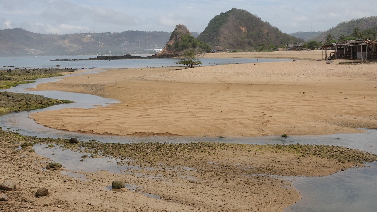 DSC02506