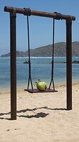 DSC02850