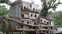 DSC02888