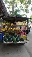 DSC02896