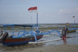 _DSC0933